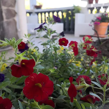 Maria Bed and breakfast 4*