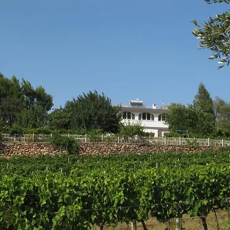 Bed & Breakfast Maria *