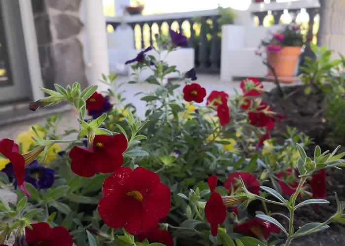 Maria Bed & Breakfast 4*