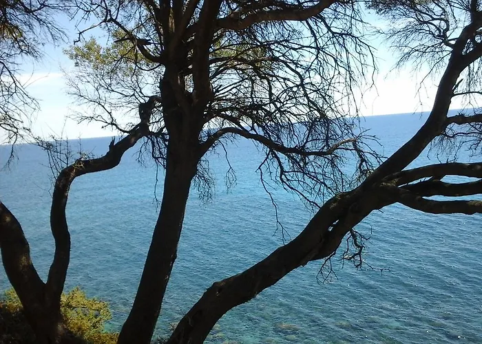 住宿加早餐酒店 Maria