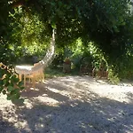 Maria Bed & Breakfast Dorgali