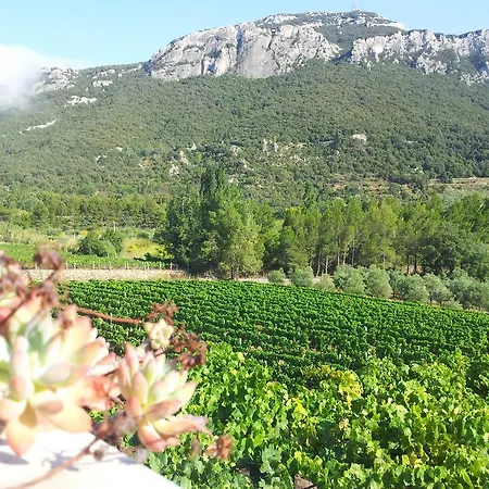 Maria 4* 도르갈리