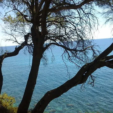 Alojamento de Acomodação e Pequeno-almoço Maria