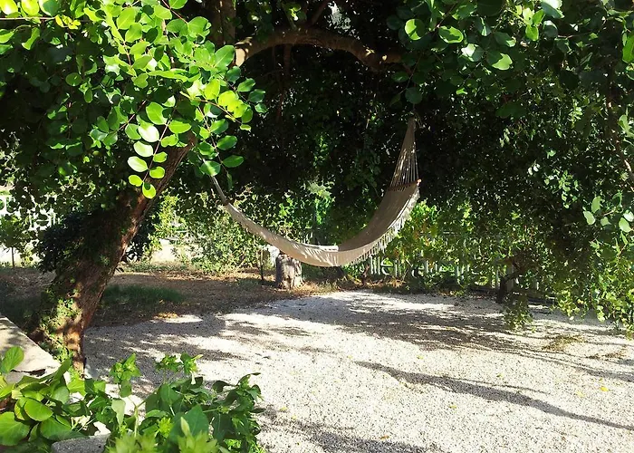 Maria دورغالي